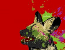 Edition d’illustration